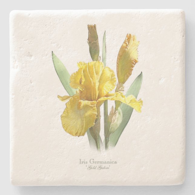 Yellow Iris Flower Stone Coaster (Front)