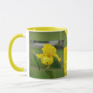 YELLOW IRIS FLOWERS Coffee Mugs Cup Gifts