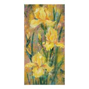 Yellow Iris Flowers Poster