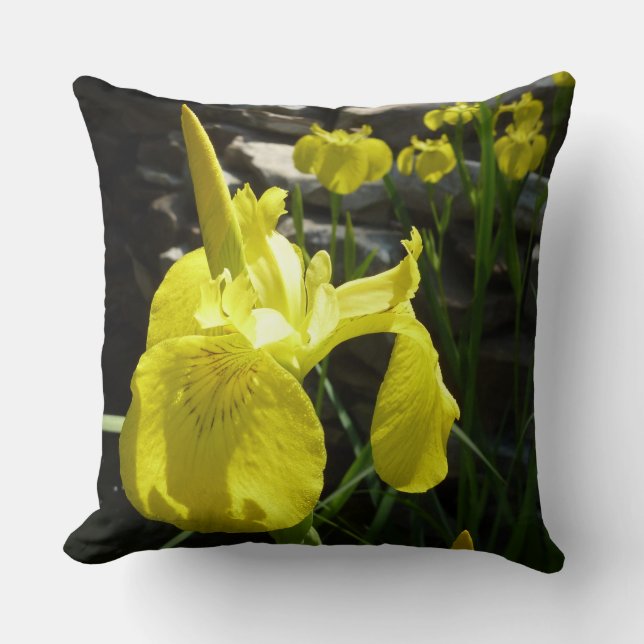 Yellow Irises Bright Spring Floral Cushion (Front)
