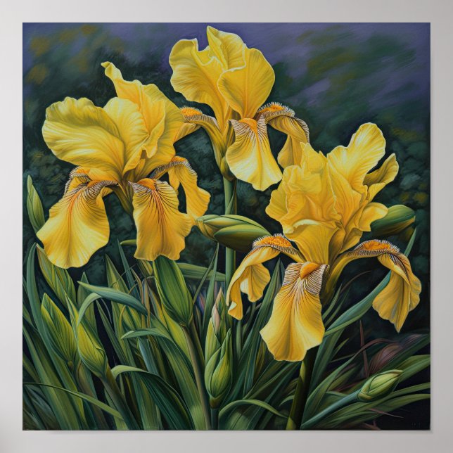 Yellow Irises Flower Art Print Poster (Front)