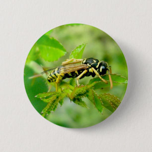Yellow Jacket Button
