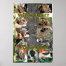 Yellow Jacket Exploratory