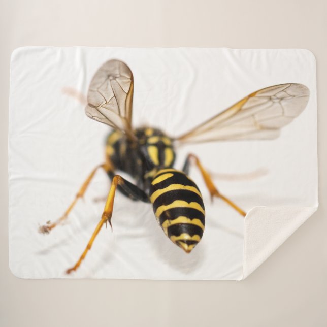 YELLOW JACKET SHERPA BLANKET (Front (Horizontal))
