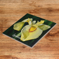 Yellow Japanese Iris Floral