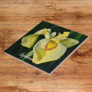 Yellow Japanese Iris Floral Ceramic Tile