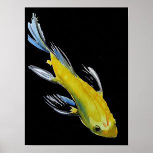 Yellow Japanese Koi watercolour Poster