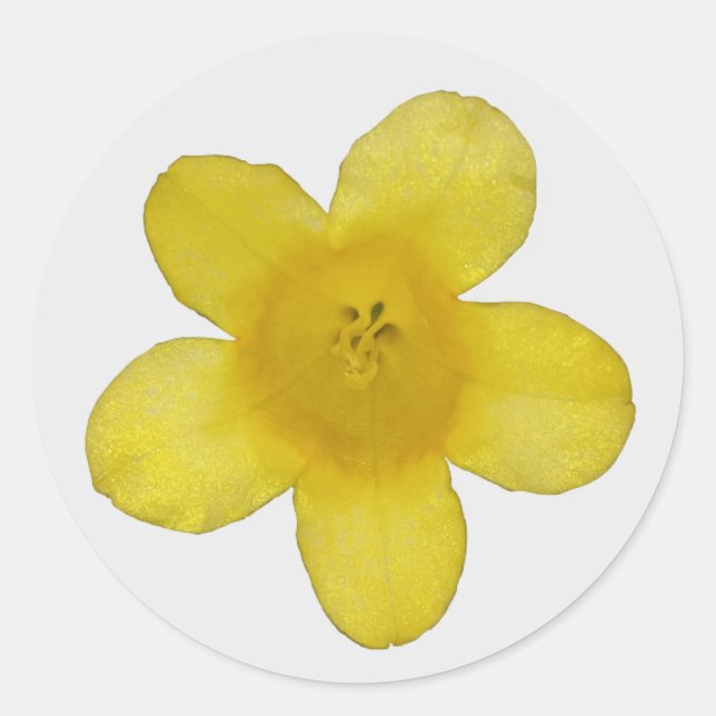 Yellow Jasmine Stickers (Front)