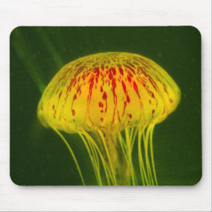 Yellow Jellyfish Mouse Pad
