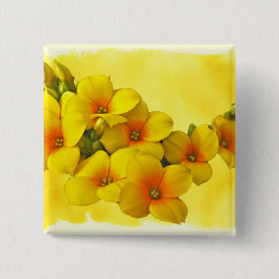 Yellow Kalanchoe - Succulent Sunshine 15 Cm Square Badge