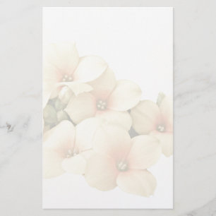 Yellow Kalanchoe - Succulent Sunshine Stationery