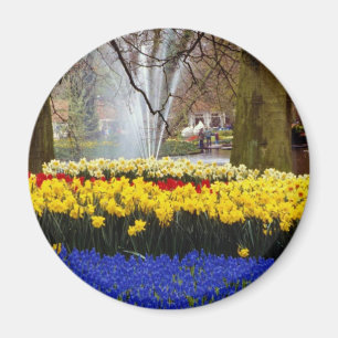 yellow Keukenhof gardens, Amsterdam, Netherlands f Magnet