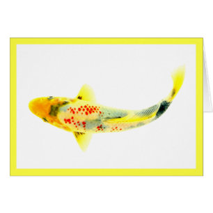 Yellow Koi