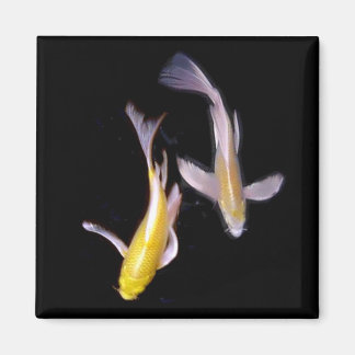 Yellow Koi Pair Magnet