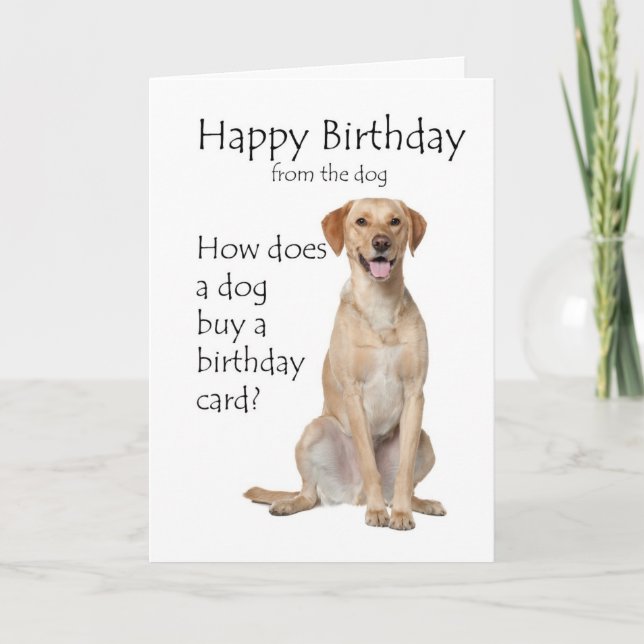 Yellow Lab Birthday Card (Front)