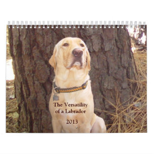 Yellow Lab Calendar - 2013