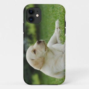 Yellow lab iPhone 11 case