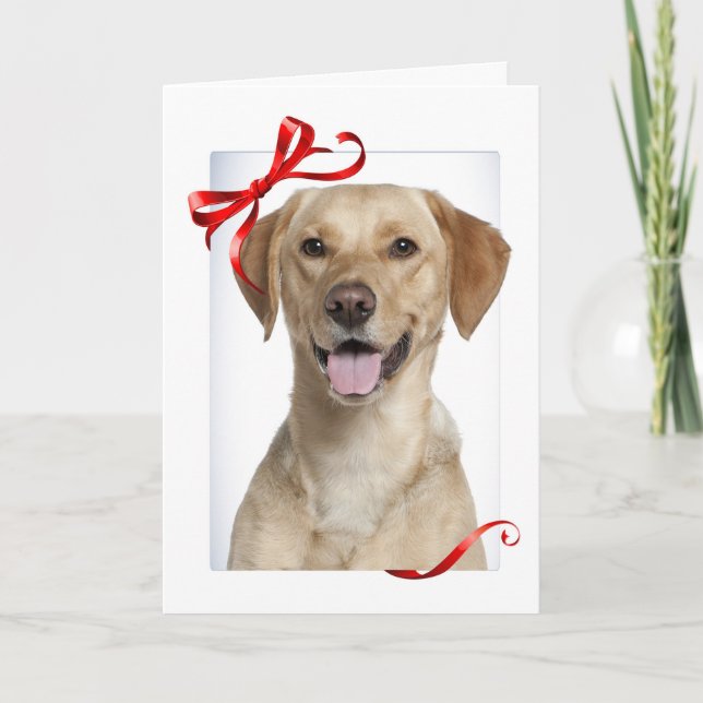 Yellow Lab Christmas Card (Front)