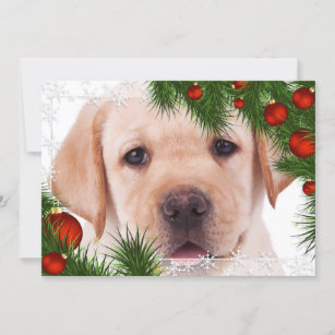 Yellow Lab Christmas Card- Cute Dog Puppy Labrador Holiday Card