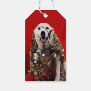 Yellow lab Christmas Gift Tags