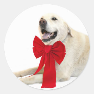 Yellow lab Christmas sticker
