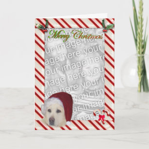 Yellow Lab Christmas Template Card