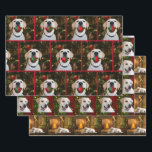 Yellow Lab Christmas Wrapping Paper Sheet<br><div class="desc">Yellow Labrador retriever and yellow lab puppy in a Christmas setting dog lovers Christmas holiday sheet wrapping paper</div>