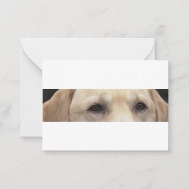 yellow lab eyes card (Front)