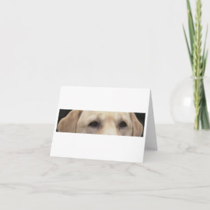 Yellow Lab Eyes Card