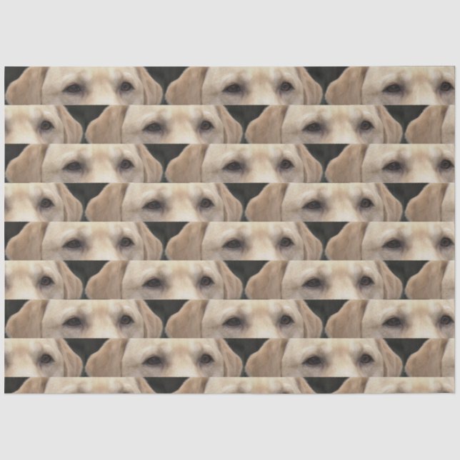 yellow lab eyes tissue paper (Front)
