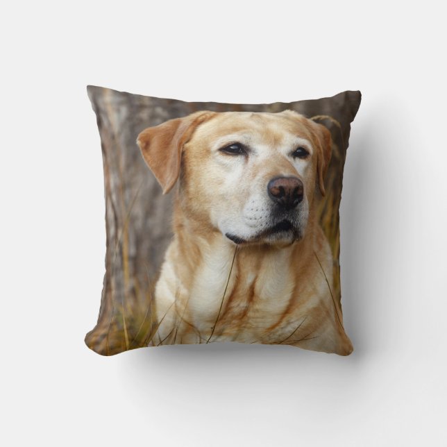 Yellow Lab in Field Cushion (Front)