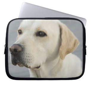 Yellow Lab Laptop Sleeve