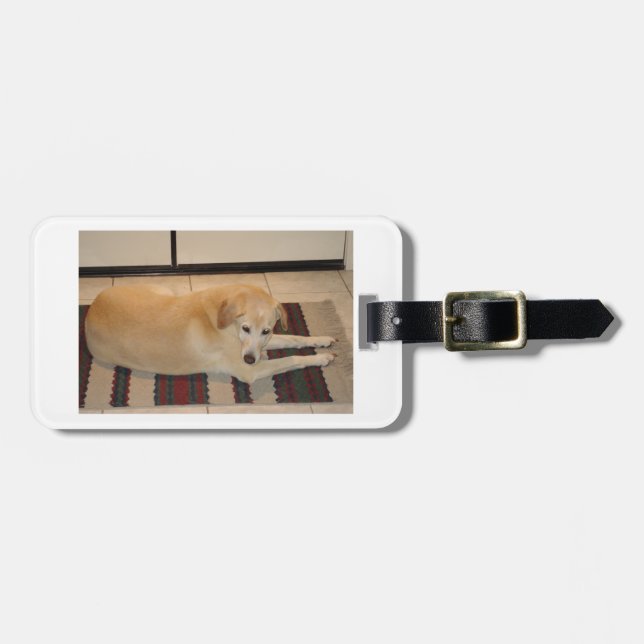 yellow lab laying luggage tag (Front Horizontal)