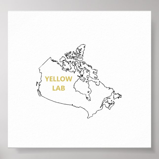 yellow lab origin.png poster (Front)