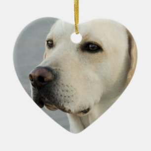 Yellow Lab Ornament