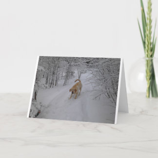 Yellow Lab Playing in Fresh Winter Snow Holiday Card