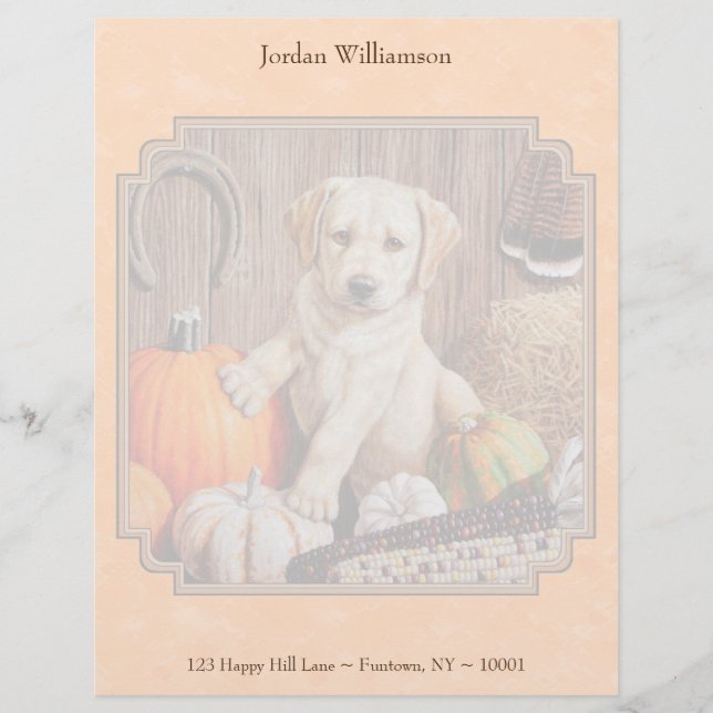 Yellow Lab Pup and Pumpkin Harvest Orange Customized Letterhead (Front)