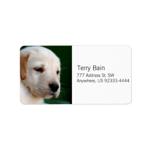 Yellow Lab Puppy Label