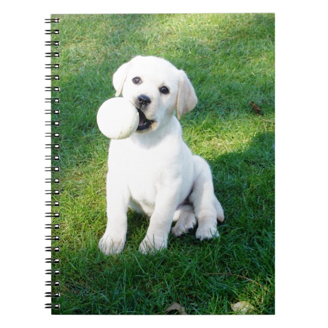 Yellow Lab Puppy Notebook (Front)