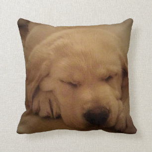 Yellow Lab Puppy Sleeping Cushion