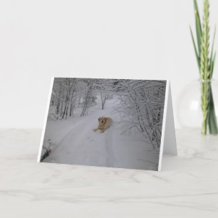Yellow Lab Relaxing in Fresh Winter Snow Card