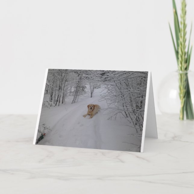 Yellow Lab Relaxing in Fresh Winter Snow Card (Front)