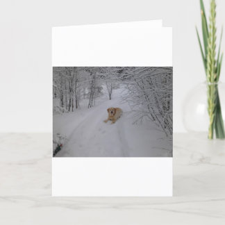 Yellow Lab Relaxing in Fresh Winter Snow Holiday Card