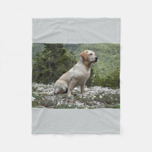 yellow lab sitting.png fleece blanket