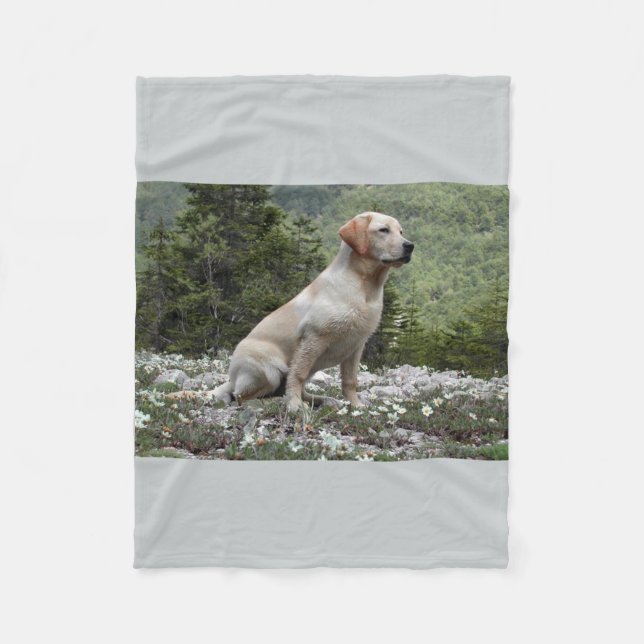 yellow lab sitting.png fleece blanket (Front)