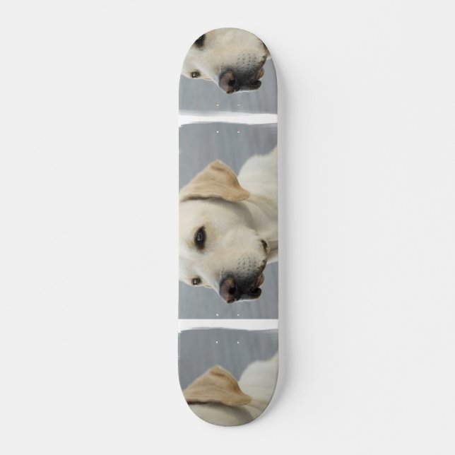 Yellow Lab  Skateboard (Front)