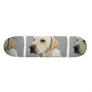 Yellow Lab Skateboard