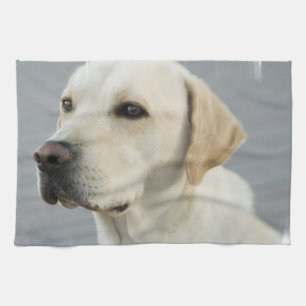 Yellow Lab Towel
