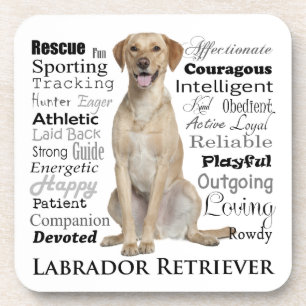Yellow Lab Traits Coaster Set