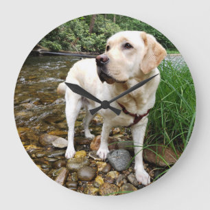 Yellow Lab, Water Dog Playing in a Creek Large Clock